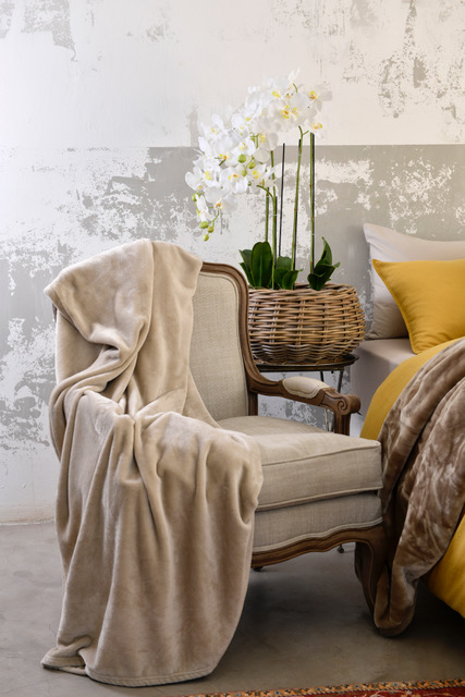 Refresh & Renew – Insights into Latest Decor Trends